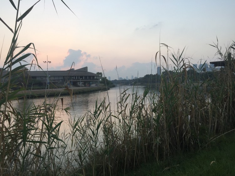Sun rising in the distance, over a river and Daniel Rowing Center