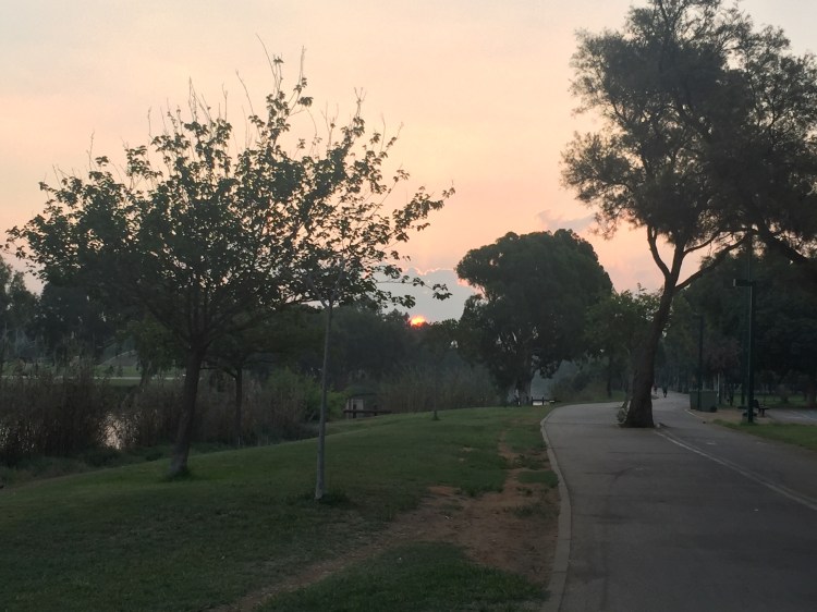Sun peering among the trees, with a river and walking path in the foreground