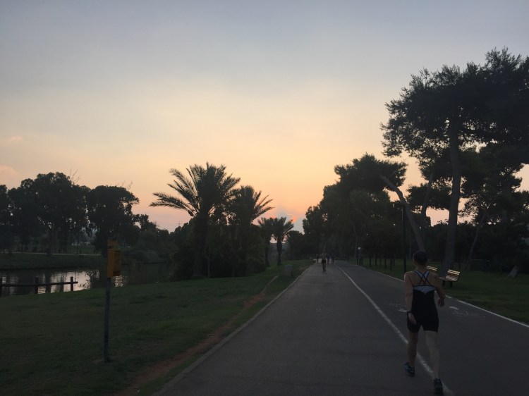 Walkers and runners on a path in the park, with sunrise over palms in the background