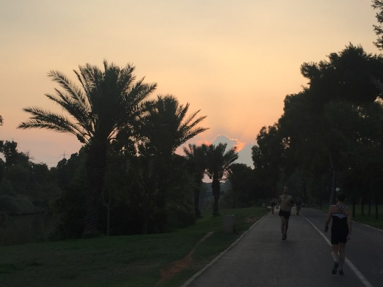Sun rising behind palm trees and a running paths. 