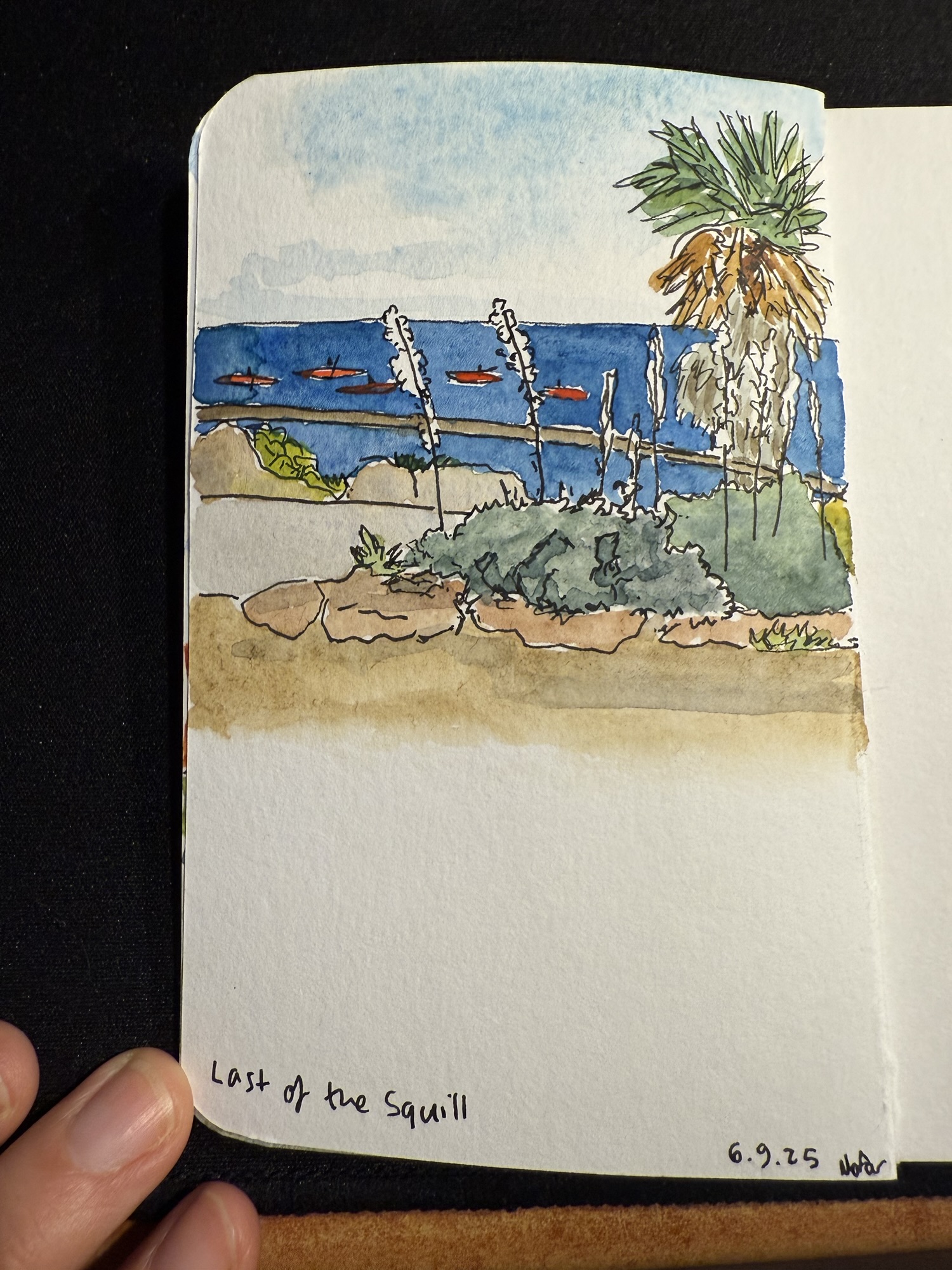 Last of the Squill Sketch – Writing at Large
